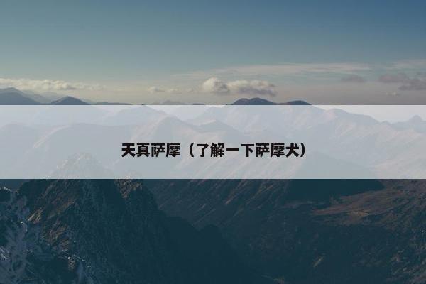 天真萨摩(了解一下萨摩犬)