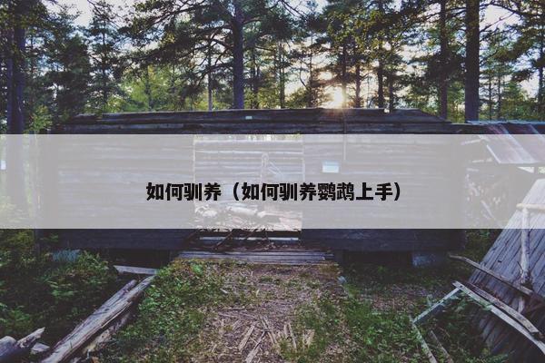 如何驯养(如何驯养鹦鹉上手)