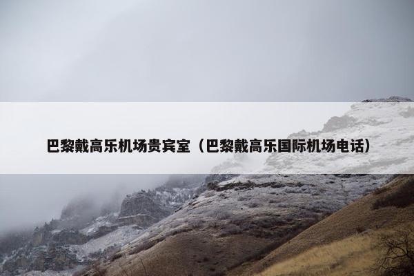 巴黎戴高乐机场贵宾室(巴黎戴高乐国际机场电话)