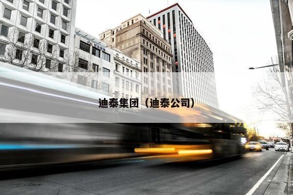 迪泰集团(迪泰公司)