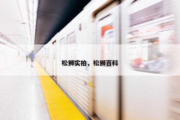 松狮实拍,松狮百科