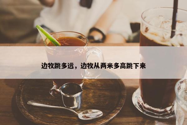 边牧跳多远,边牧从两米多高跳下来