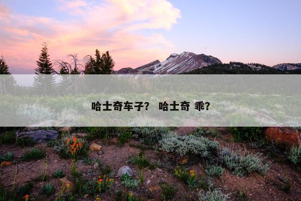 哈士奇车子? 哈士奇 乖?