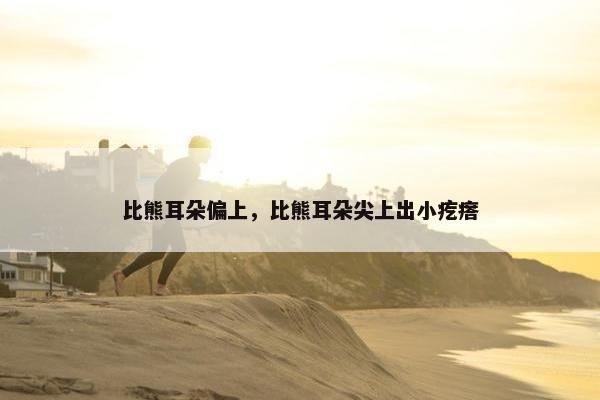 比熊耳朵偏上,比熊耳朵尖上出小疙瘩