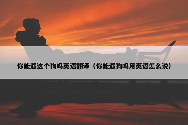 你能遛这个狗吗英语翻译(你能遛狗吗用英语怎么说)
