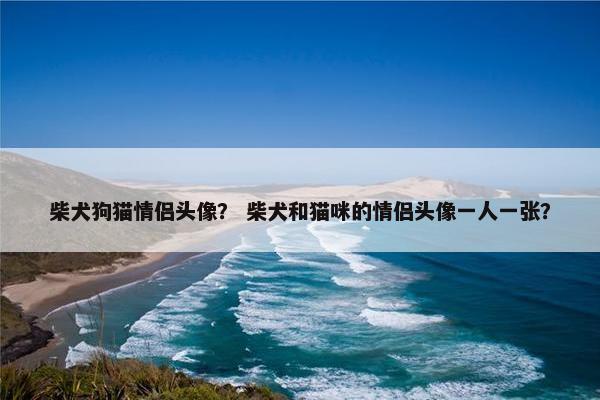 柴犬狗猫情侣头像? 柴犬和猫咪的情侣头像一人一张?