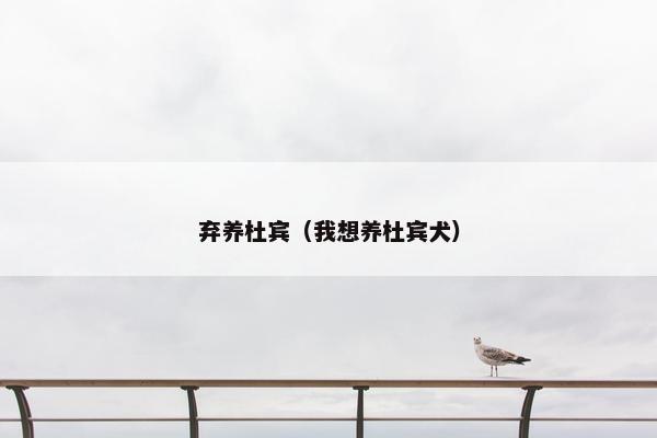 弃养杜宾(我想养杜宾犬)