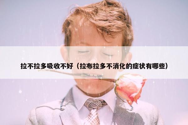 拉不拉多吸收不好(拉布拉多不消化的症状有哪些)