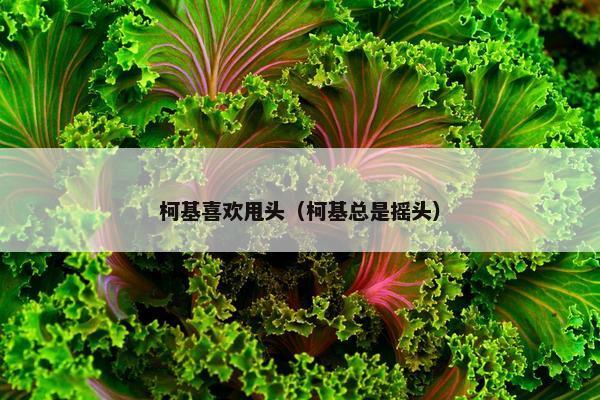 柯基喜欢甩头(柯基总是摇头)