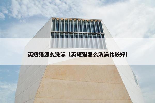 英短猫怎么洗澡(英短猫怎么洗澡比较好)