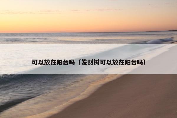 可以放在阳台吗(发财树可以放在阳台吗)