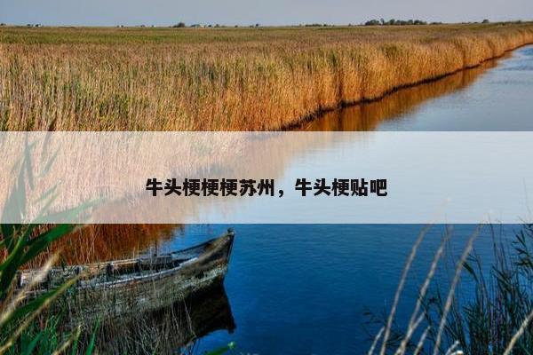 牛头梗梗梗苏州,牛头梗贴吧