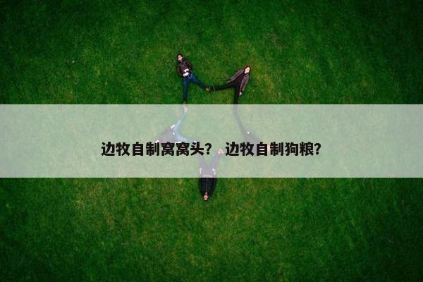 边牧自制窝窝头? 边牧自制狗粮?