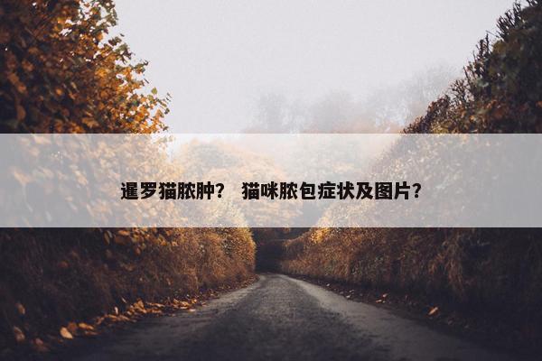 暹罗猫脓肿? 猫咪脓包症状及图片?