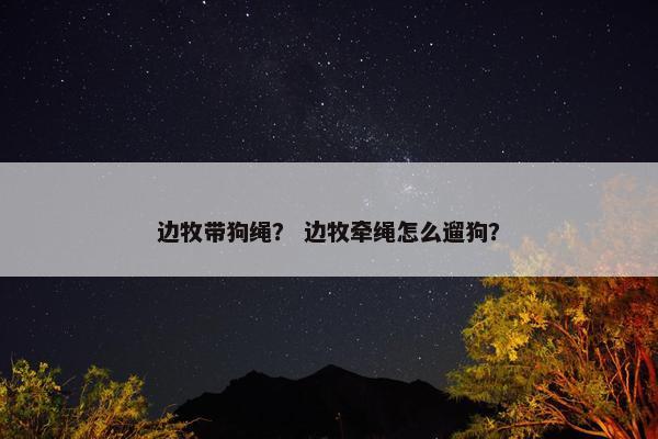 边牧带狗绳? 边牧牵绳怎么遛狗?