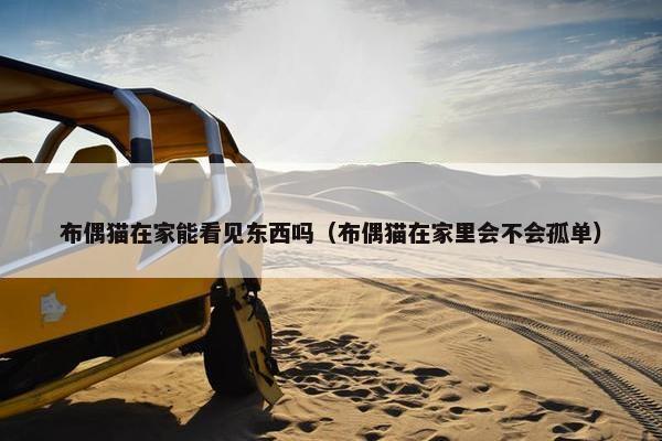 布偶猫在家能看见东西吗(布偶猫在家里会不会孤单)