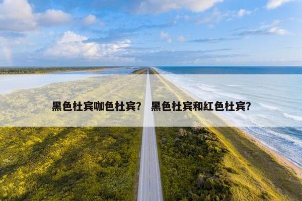 黑色杜宾咖色杜宾? 黑色杜宾和红色杜宾?