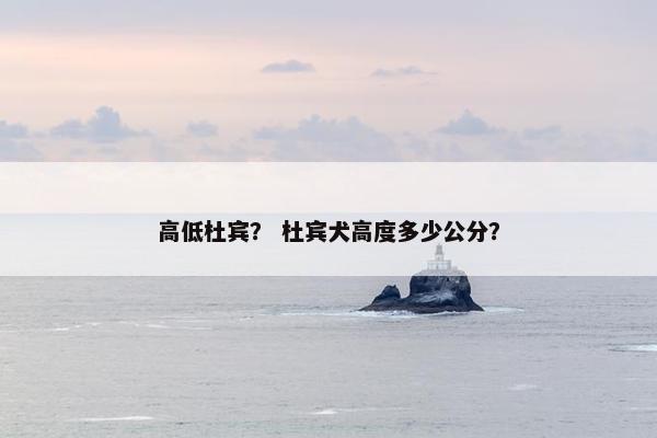 高低杜宾? 杜宾犬高度多少公分?