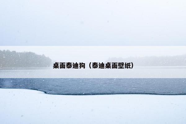 桌面泰迪狗(泰迪桌面壁纸)