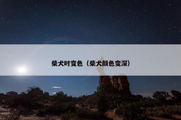 柴犬时变色(柴犬颜色变深)