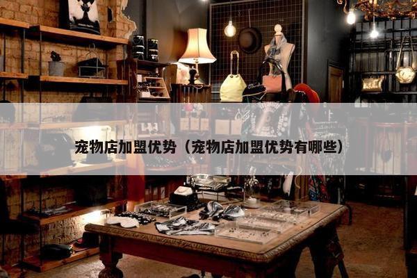 宠物店加盟优势(宠物店加盟优势有哪些)