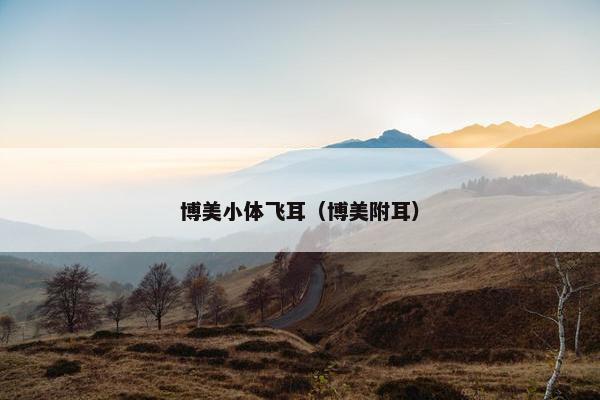 博美小体飞耳(博美附耳)