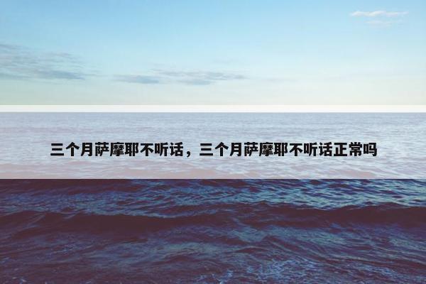 三个月萨摩耶不听话,三个月萨摩耶不听话正常吗