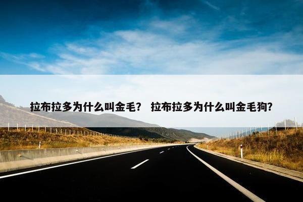 拉布拉多为什么叫金毛? 拉布拉多为什么叫金毛狗?