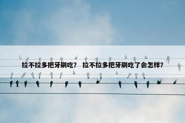 拉不拉多把牙刷吃? 拉不拉多把牙刷吃了会怎样?