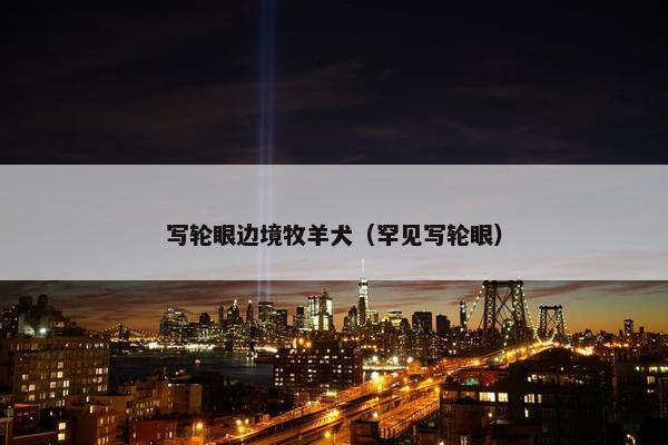 写轮眼边境牧羊犬(罕见写轮眼)