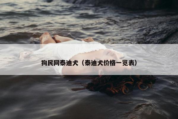 狗民网泰迪犬(泰迪犬价格一览表)