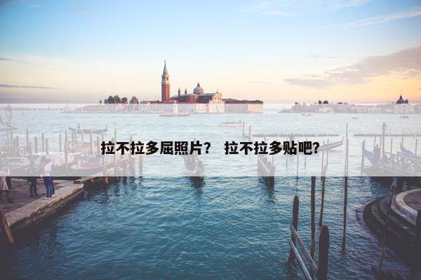 拉不拉多屈照片? 拉不拉多贴吧?