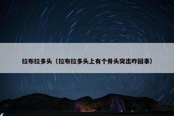 拉布拉多头(拉布拉多头上有个骨头突出咋回事)