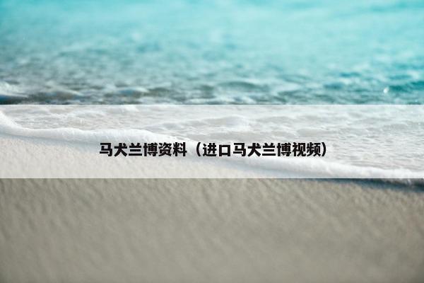 马犬兰博资料(进口马犬兰博视频)