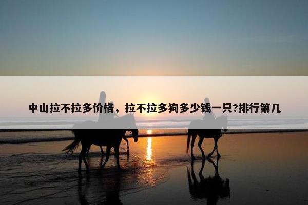 中山拉不拉多价格,拉不拉多狗多少钱一只?排行第几