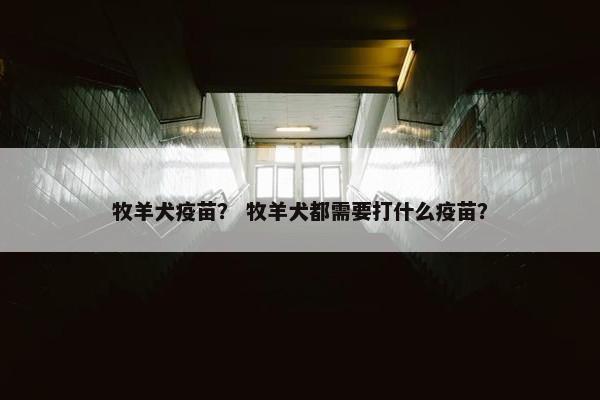 牧羊犬疫苗? 牧羊犬都需要打什么疫苗?