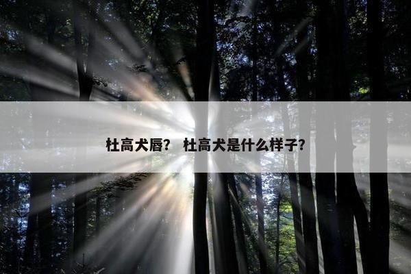 杜高犬唇? 杜高犬是什么样子?