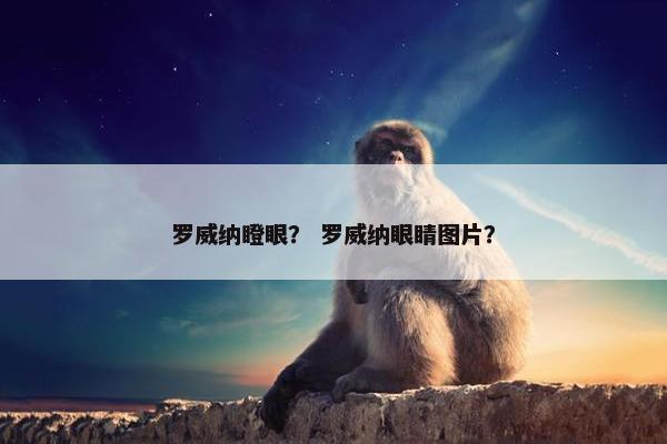 罗威纳瞪眼? 罗威纳眼睛图片?