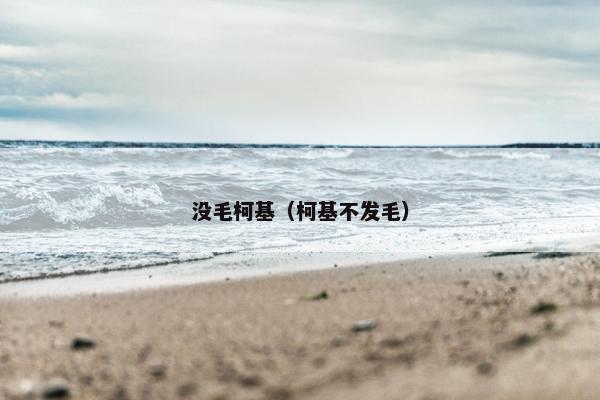 没毛柯基(柯基不发毛)