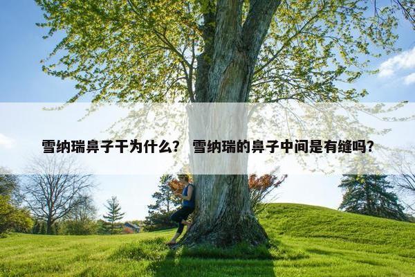 雪纳瑞鼻子干为什么? 雪纳瑞的鼻子中间是有缝吗?