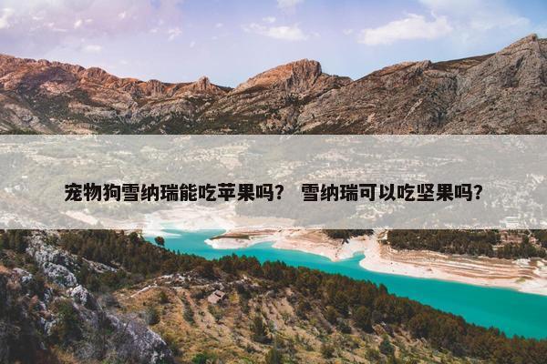 宠物狗雪纳瑞能吃苹果吗? 雪纳瑞可以吃坚果吗?