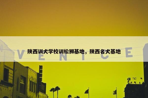 陕西训犬学校训松狮基地,陕西名犬基地