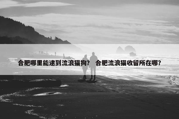 合肥哪里能逮到流浪猫狗? 合肥流浪猫收留所在哪?