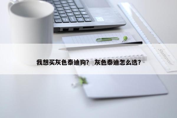 我想买灰色泰迪狗? 灰色泰迪怎么选?