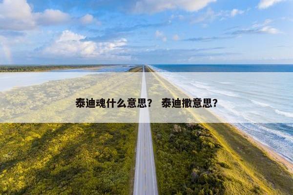 泰迪魂什么意思? 泰迪撒意思?