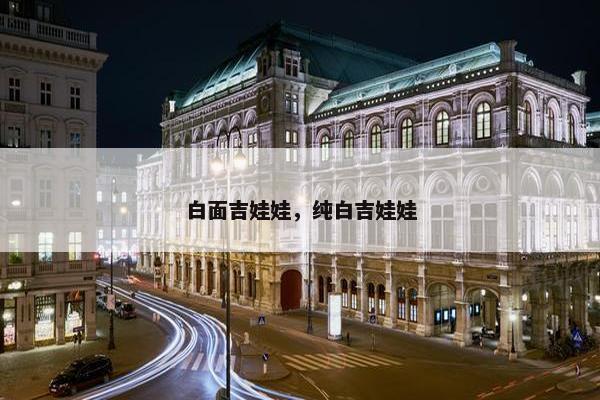 白面吉娃娃,纯白吉娃娃