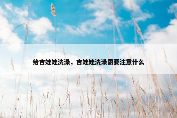 给吉娃娃洗澡,吉娃娃洗澡需要注意什么