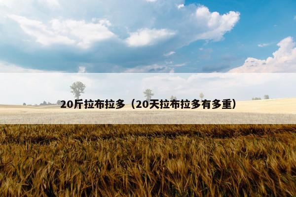 20斤拉布拉多(20天拉布拉多有多重)