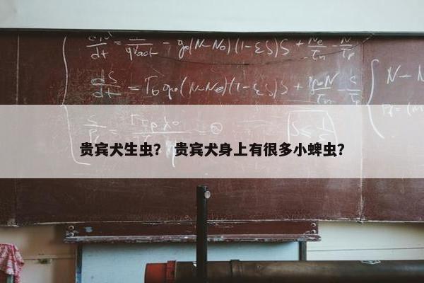 贵宾犬生虫? 贵宾犬身上有很多小蜱虫?