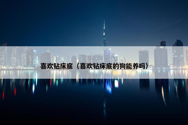 喜欢钻床底(喜欢钻床底的狗能养吗)